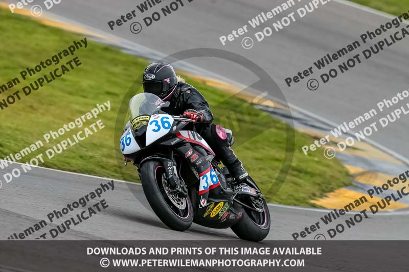 PJ Motorsport 2019;anglesey no limits trackday;anglesey photographs;anglesey trackday photographs;enduro digital images;event digital images;eventdigitalimages;no limits trackdays;peter wileman photography;racing digital images;trac mon;trackday digital images;trackday photos;ty croes